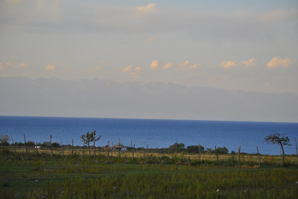 Jurten Camp Almaluu Tong Exterior foto